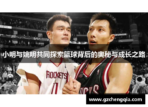 小明与姚明共同探索篮球背后的奥秘与成长之路