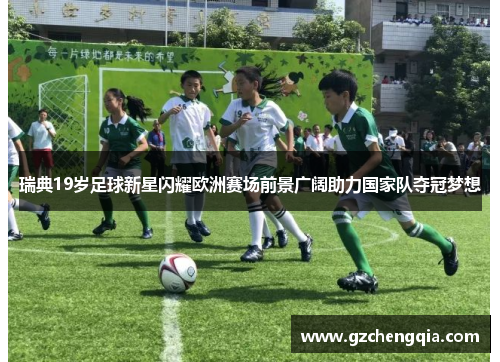 瑞典19岁足球新星闪耀欧洲赛场前景广阔助力国家队夺冠梦想