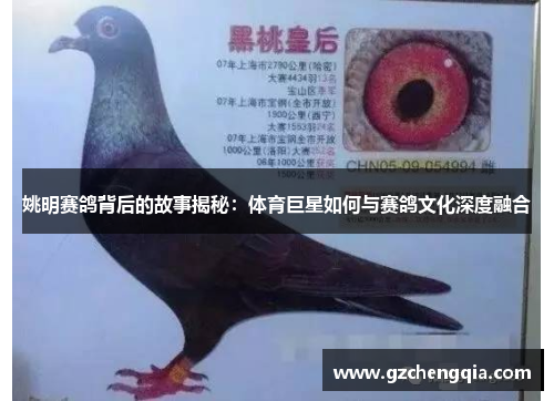 姚明赛鸽背后的故事揭秘：体育巨星如何与赛鸽文化深度融合