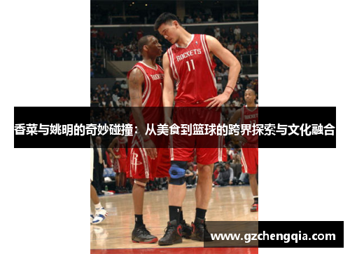香菜与姚明的奇妙碰撞：从美食到篮球的跨界探索与文化融合
