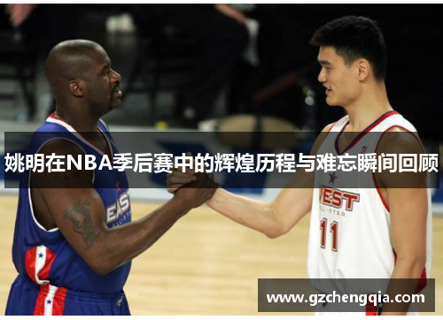 姚明在NBA季后赛中的辉煌历程与难忘瞬间回顾