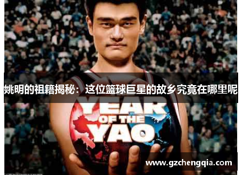 姚明的祖籍揭秘：这位篮球巨星的故乡究竟在哪里呢