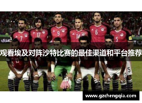 观看埃及对阵沙特比赛的最佳渠道和平台推荐